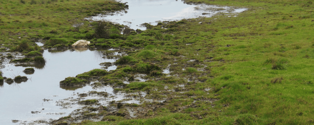 Figure 14. Drainage outfall that does not operate effectively for current or future drainage options.