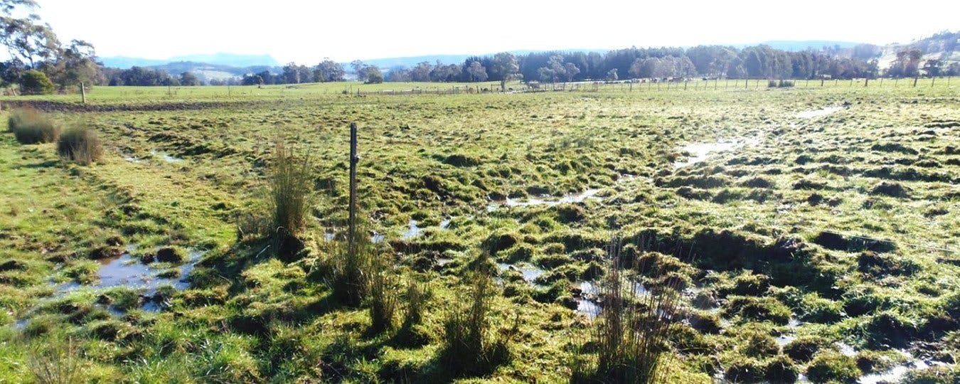 Figure 27. A large amount of standing water on the paddock will likely require an open trench drain.
