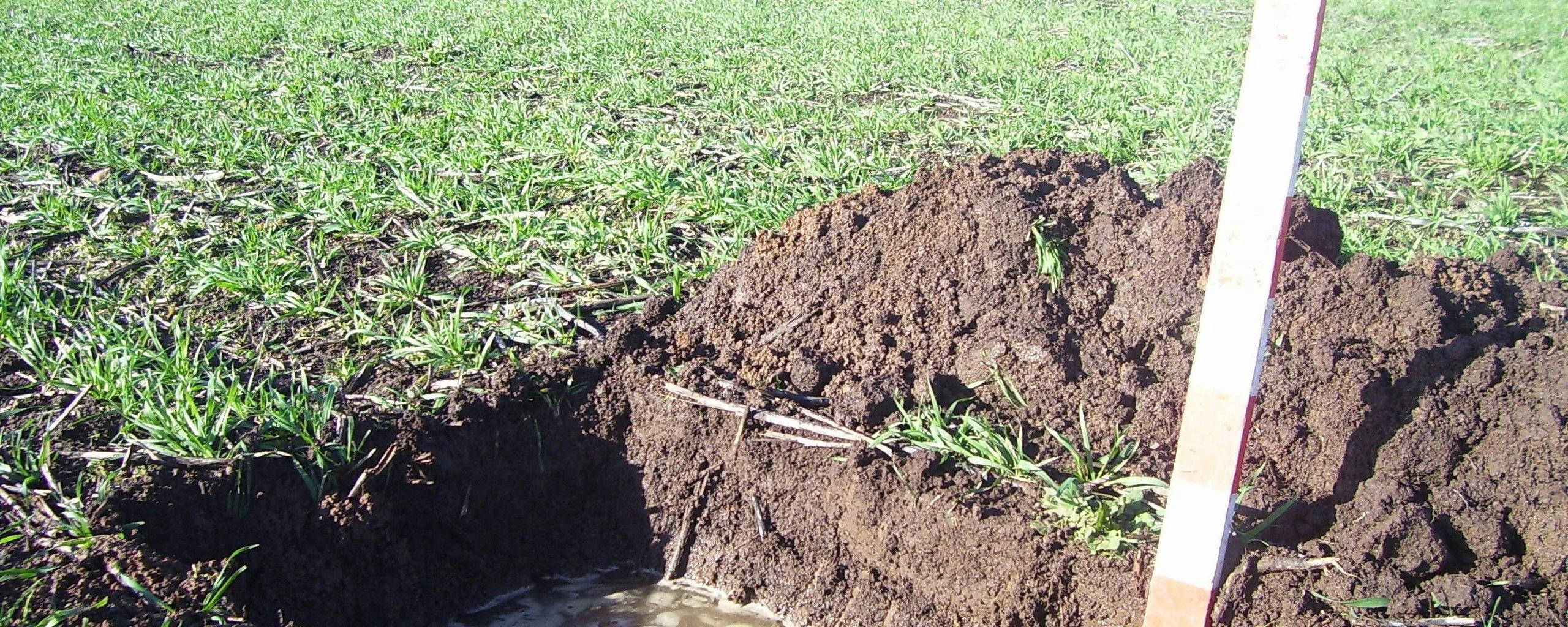 Figure 30. A shallow water table identified when digging a pit to inspect soil conditions.