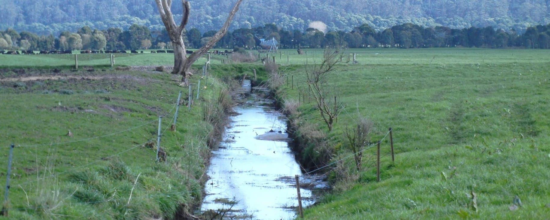 Figure 35. Open arterial ditches are the main arteries of farm drainage.