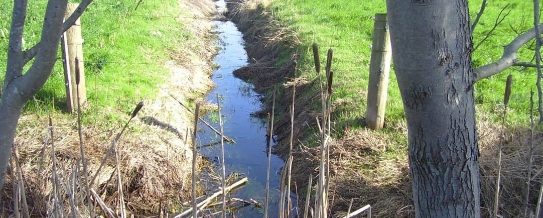 Figure 37. Paddock drains lower the water table.