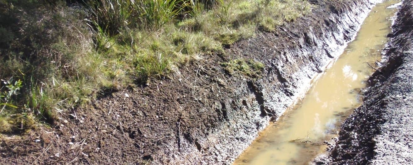 Figure 38. Trench drain intercepting seepage from an area of native vegetation at the paddock edge.