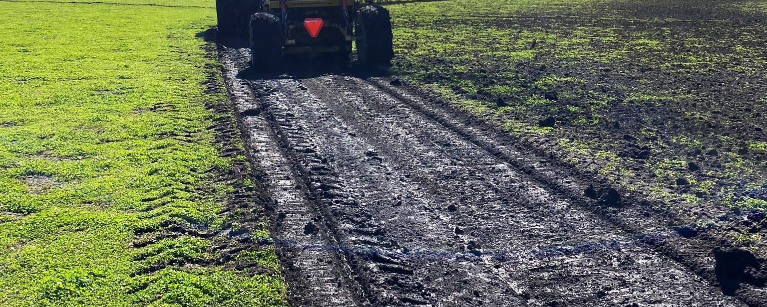 Figure 41. Shallow grassed waterway installed with a Wolverine spinner drainer. Photo by Rob Tole.