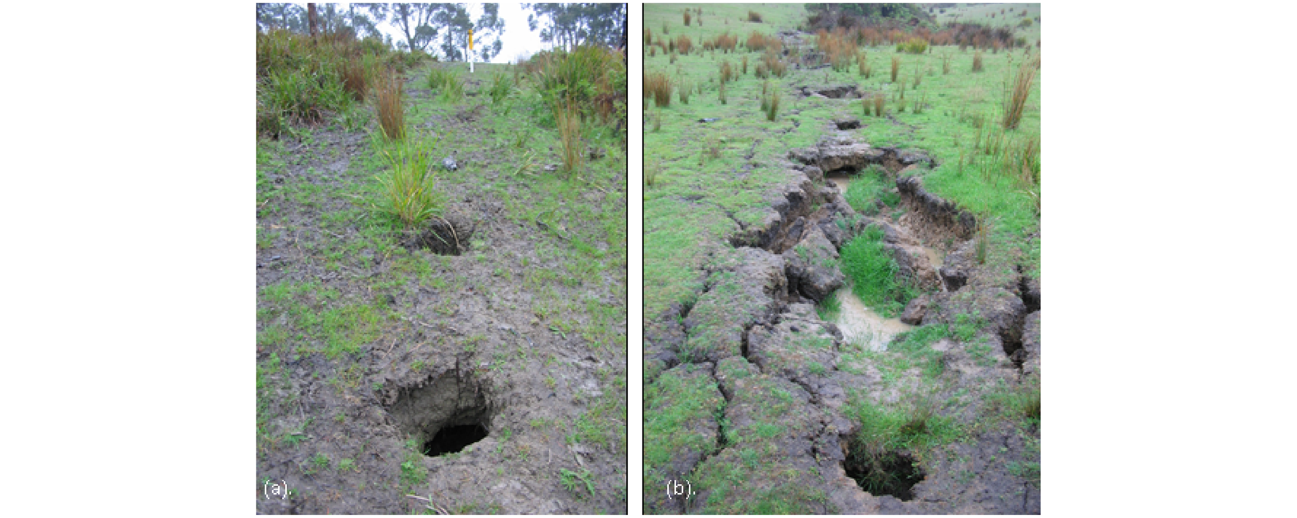 Figure 67. Tunnel erosion occurring in a sodic soil following installation of an underground pipe.   Photo by Marcus Hardie.