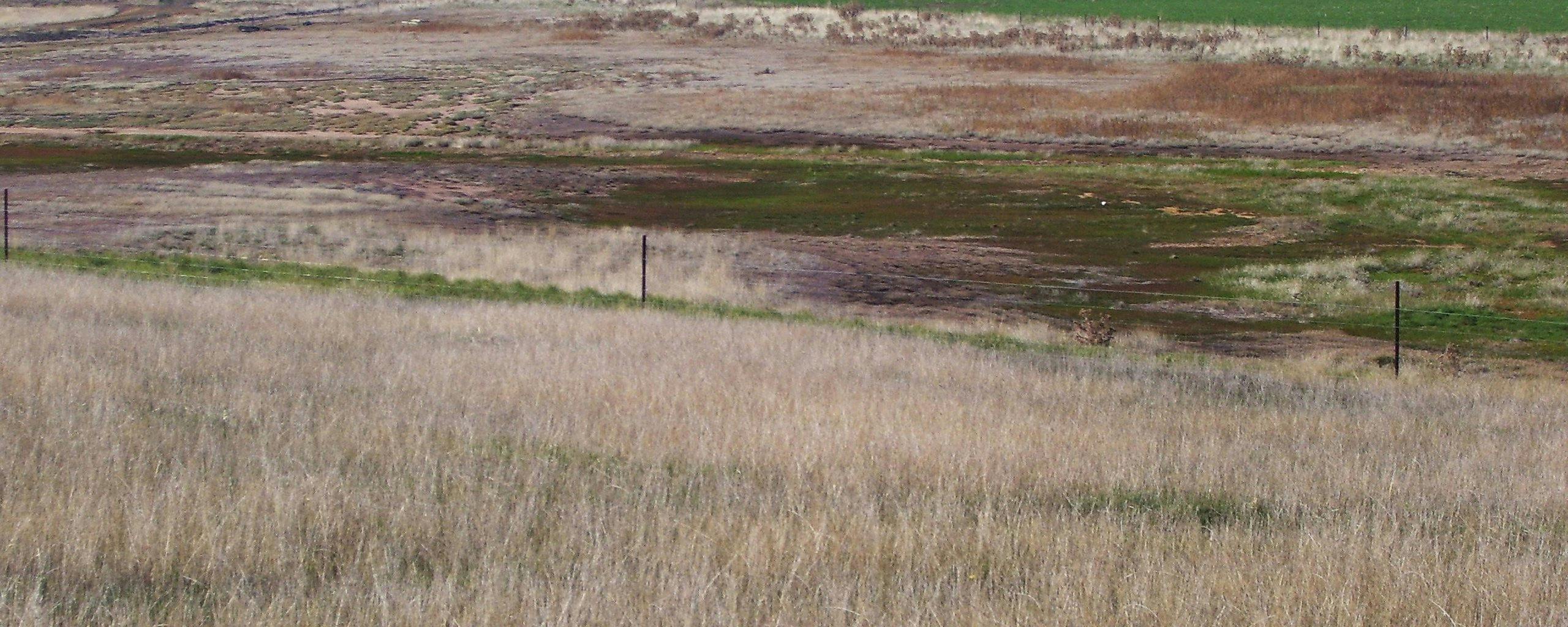 Figure 70. Saline seepage and scalds beneath the break in slope in the terraced landscape of the Northern Midlands.