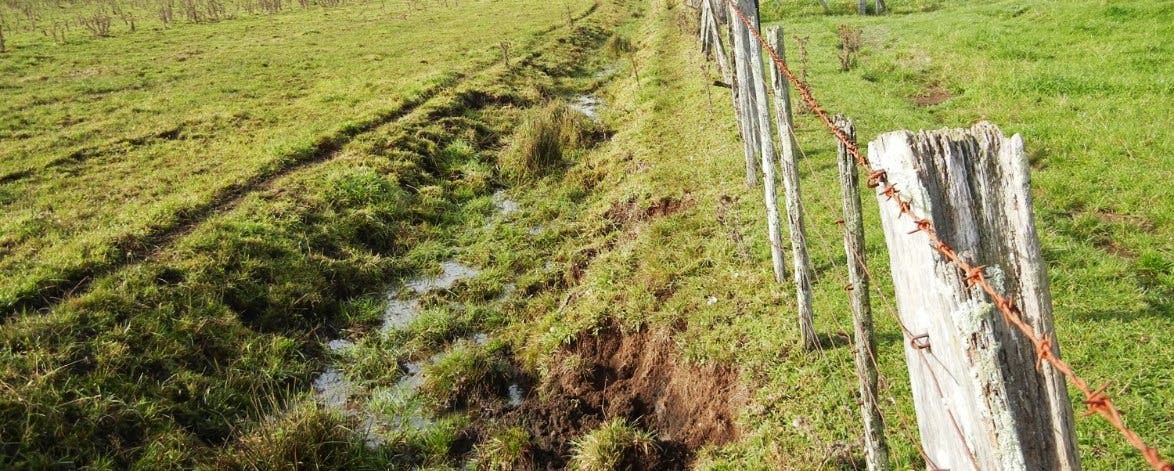 Figure 72. Trench drains that are not fenced on both sides have a short effective lifespan.