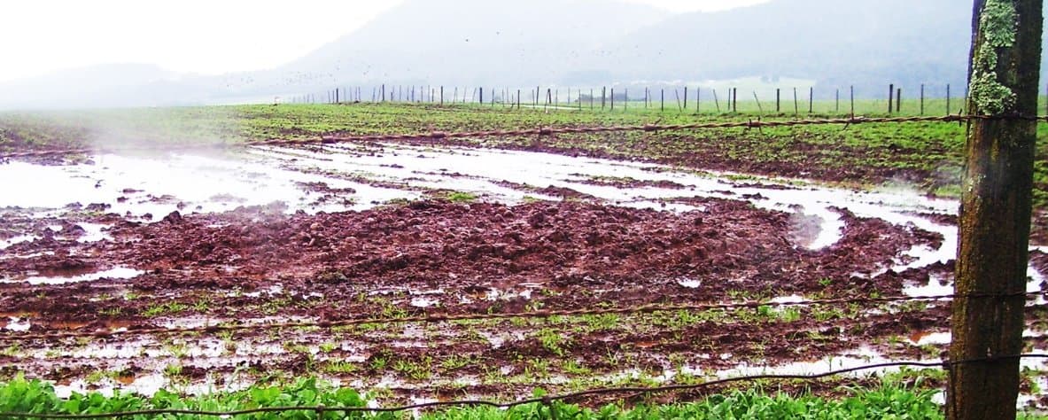 Figure 74. Soil compaction caused by machinery compaction resulting in ponded water that can be relieved by  shallow tillage in the spring.