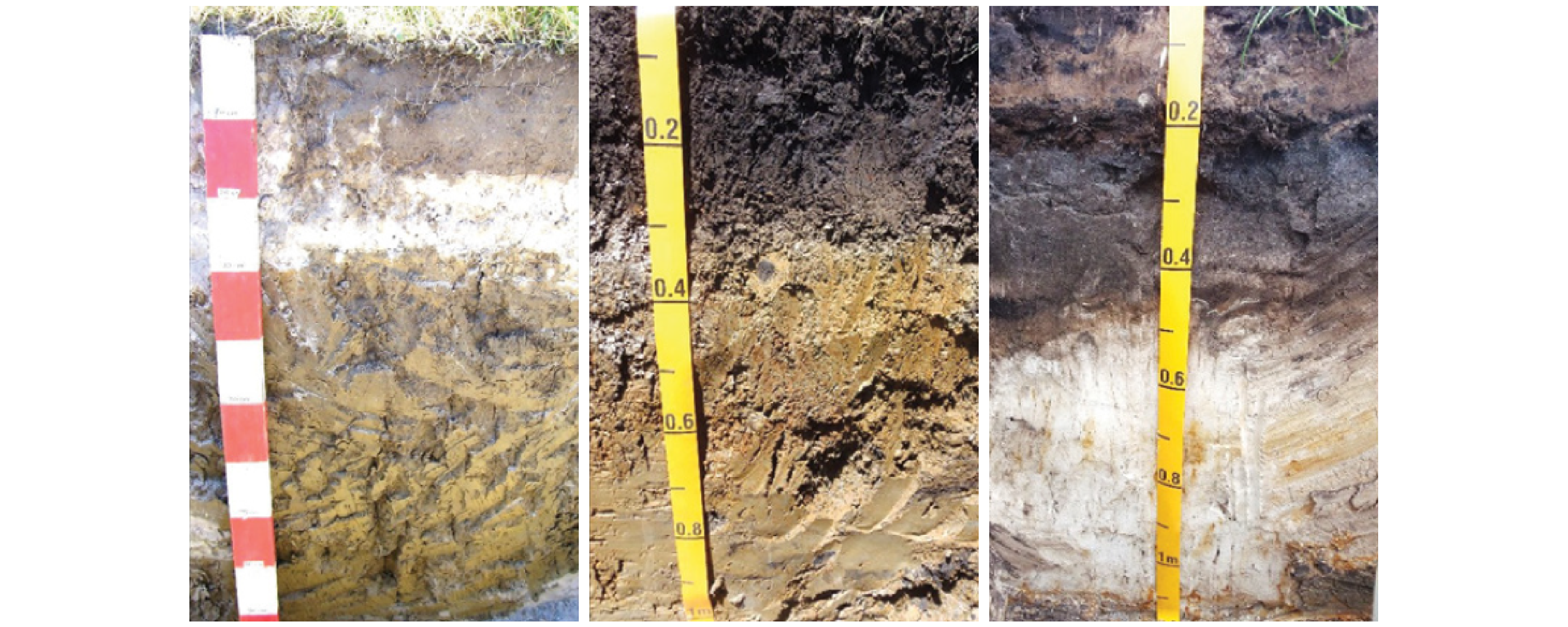 Figure 34. Different soil types require different drainage designs (Sodosol, Dermosol, Hydrosol)