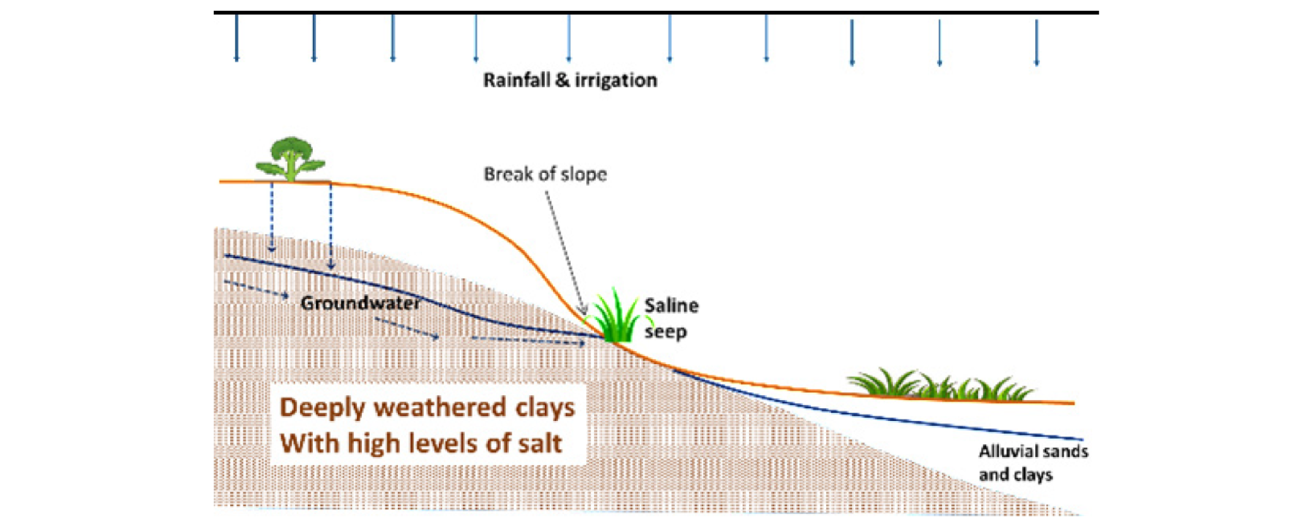 Figure 69. Cross section diagram showing outbreak of saline seepage areas at the break of slope.