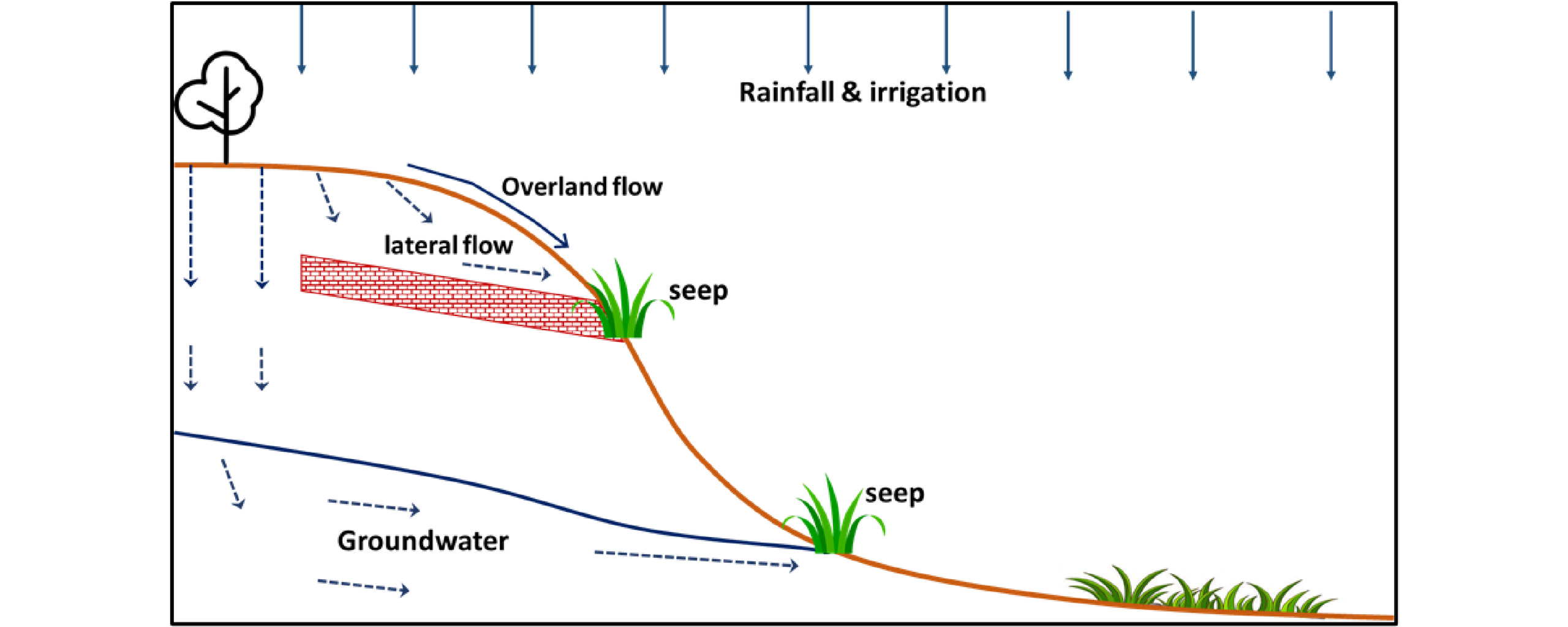 Figure 11.   Concept diagram of overland flow, lateral flow, ground water and seeps.