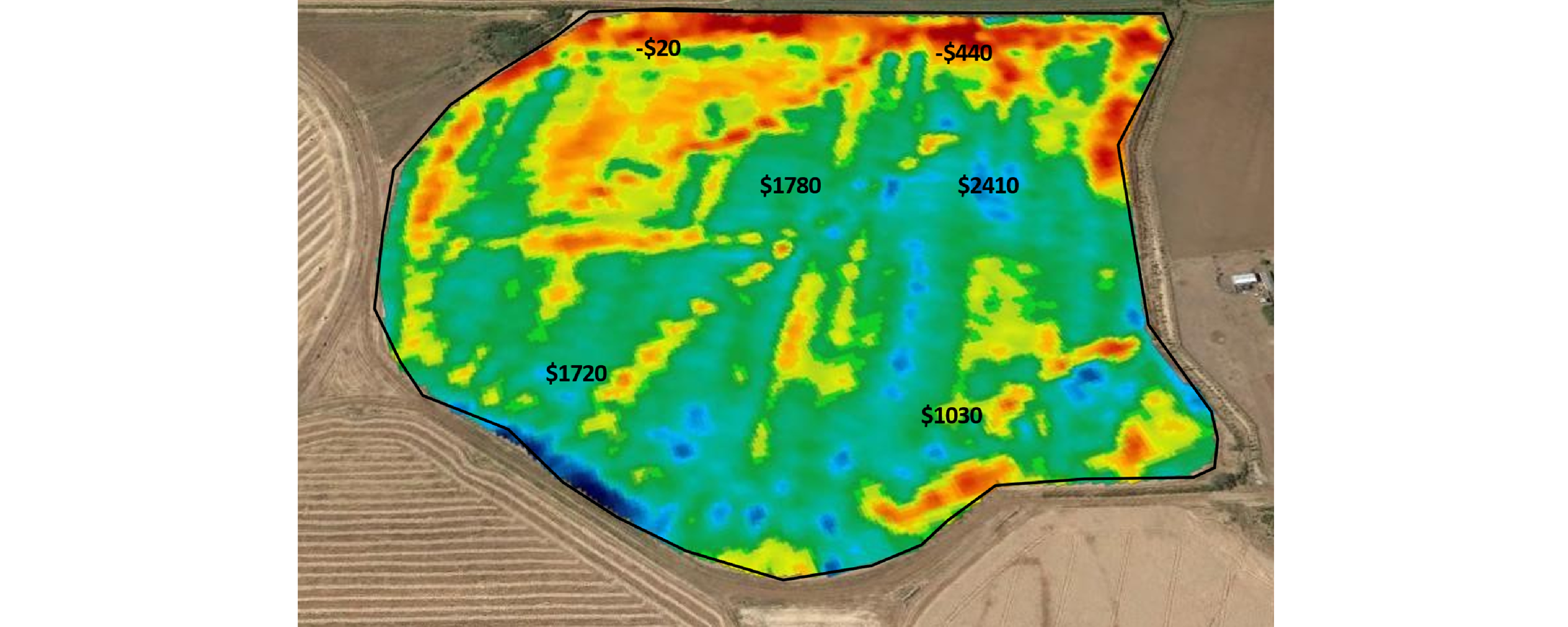 Figure 5. Yield mapping from a paddock of wheat on Mill Farm showing variability in profit per hectare.  Waterlogged areas in yellow to red; well drained areas in green to blue. Image by Greg Gibson.