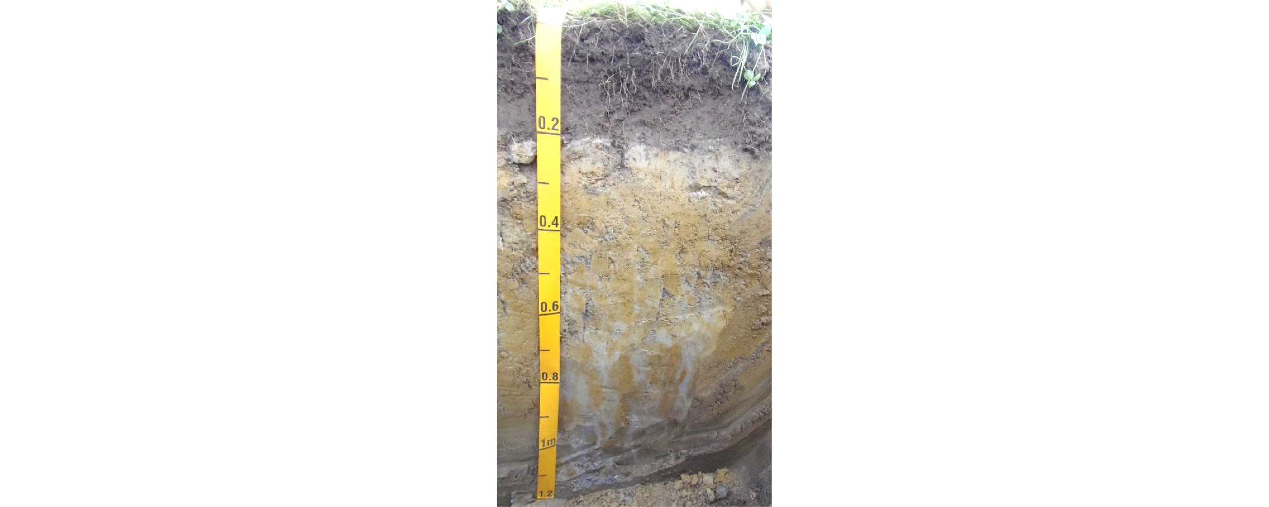 Figure 31. Mottles are spots of contrasting colour that can occur deeper in the soil profile.
