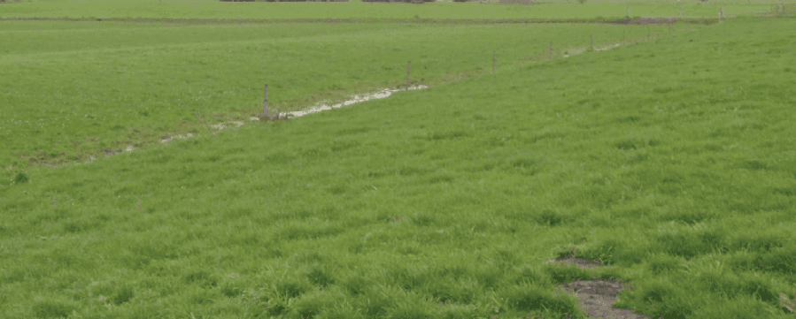 Figure 47. Hump and hollow drains are suitable for flat areas with a high water table.