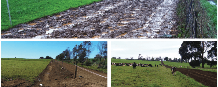 Figure 75. Laneways can become a boggy mess. They should be constructed with a cambered surface to shed water sideways and with side channels to drain surface water away safely.
