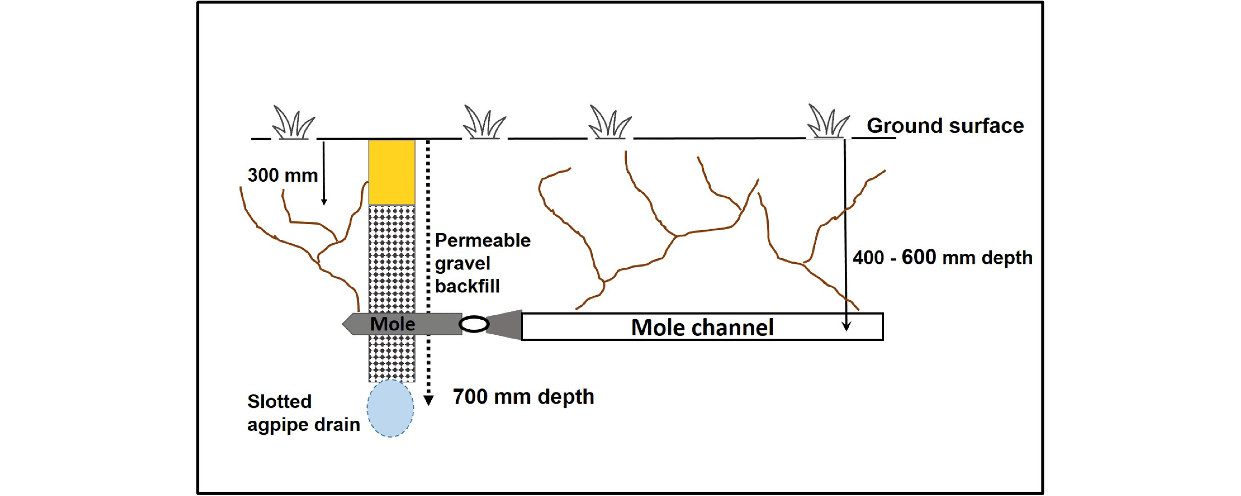 Figure 65. Mole drain installation that drains to an underground pipe drain.